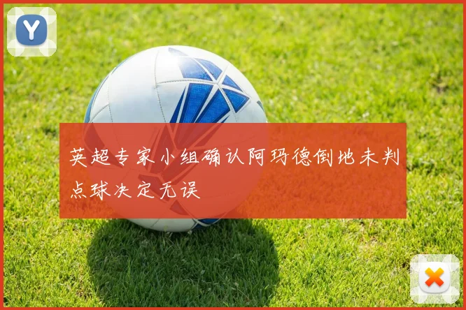 英超专家小组确认阿玛德倒地未判点球决定无误