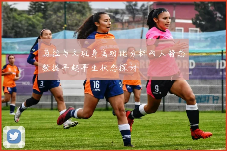 马拉与文班身高对比分析两人静态数据平起平坐状态探讨